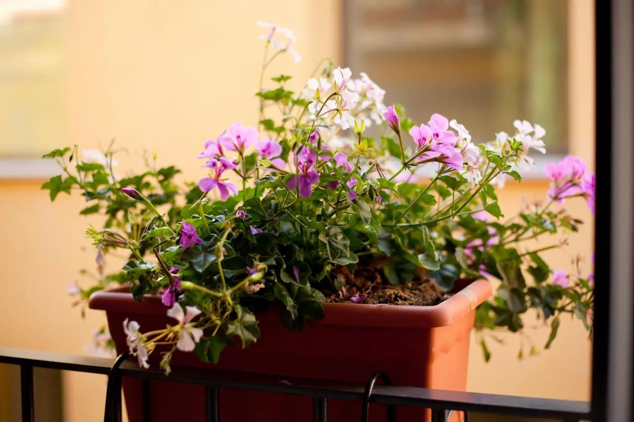 Apartamentos Caballerizas Granada Con Parking Gratuito En Pleno Centro Apartament